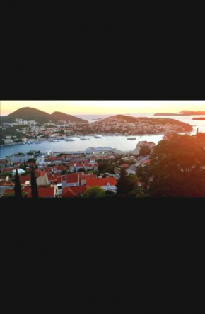 SEA VIEW FROM THE HILL